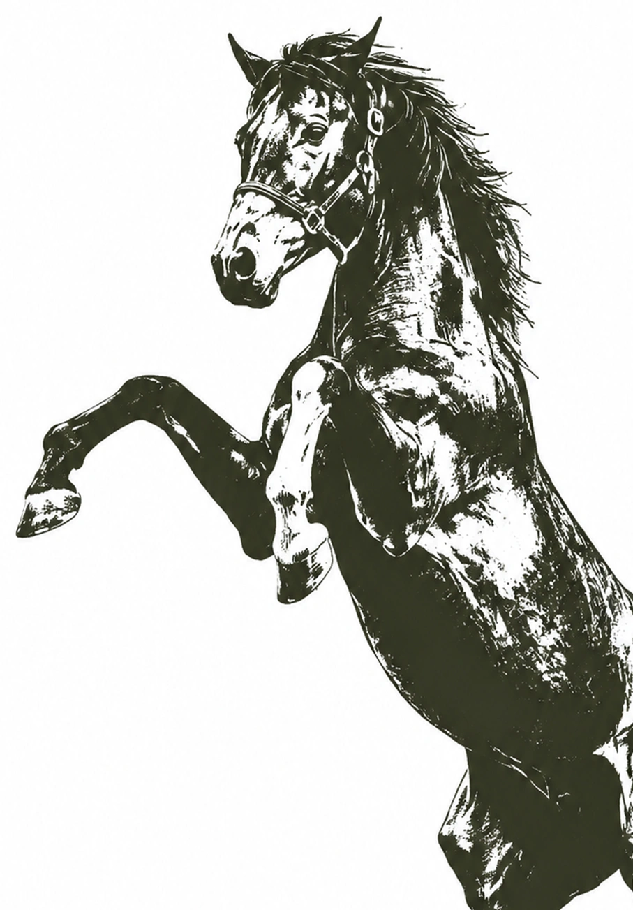 From warrior to rancher Veteran illustration representing service strength and purpose